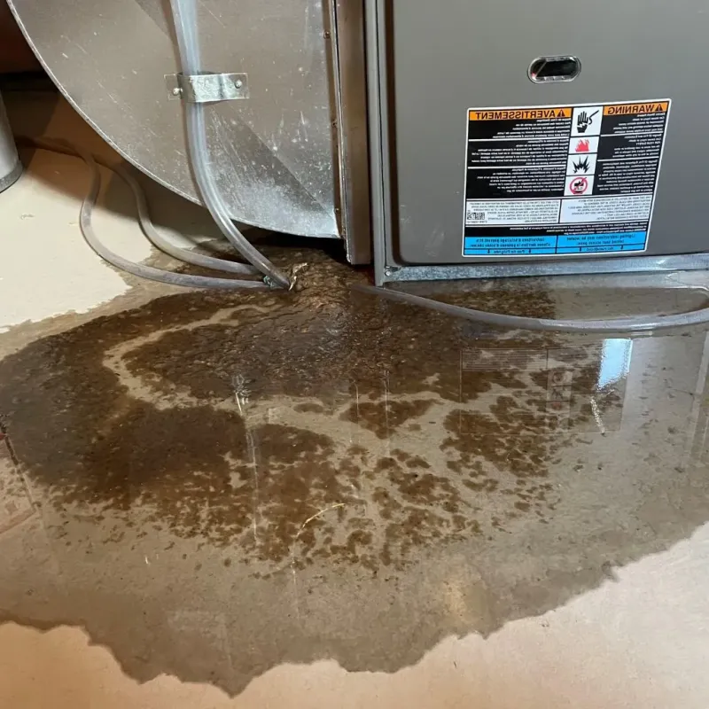 Pipe Burst and Leak Restoration in Bedford, OH